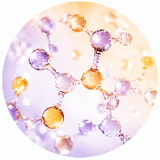 Cellular Energy & Longevity
