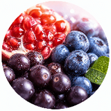 Immune & Antioxidant Defense