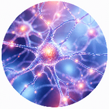 Brain, Mood & Focus